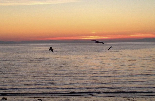 Walking distance to beach, BBH 4827