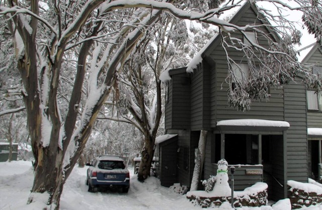 Wallace's-Chalet