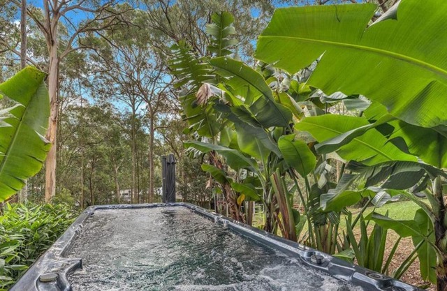 Wallarah Forest Stay - heated swim spa and resort style grounds