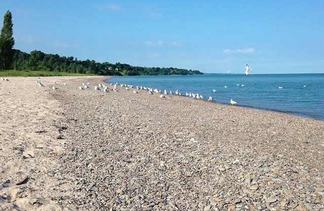 Walnut Beach Inn