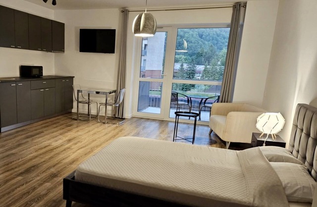Walter Apartment Sinaia