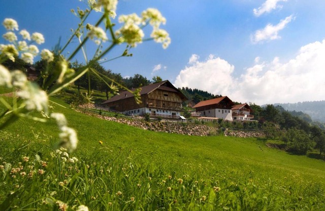 Wargerhof - Urlaub auf dem Bauernhof
