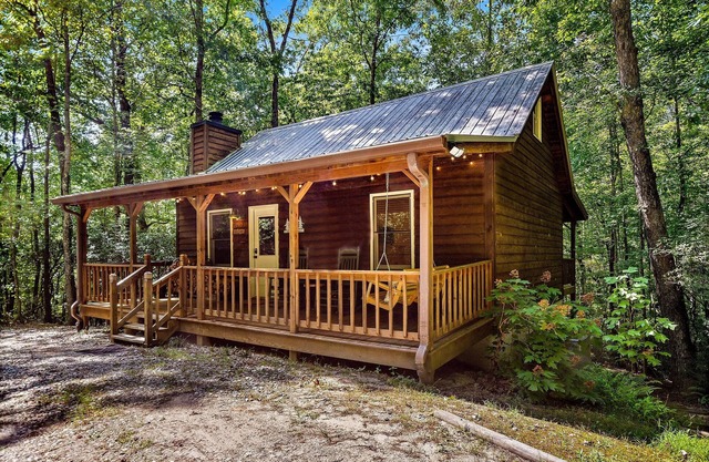 Warm and cozy cabin, decorated for fall, on a peaceful wooded lot