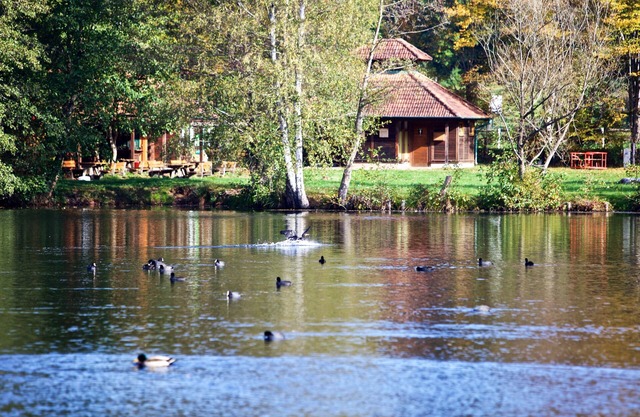 Wasgau - View - Apartment at Schöntalweiher