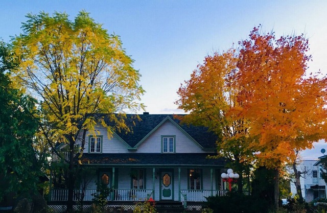 Waterfront cottage in Montebello (Accommodation up to 22 people) - 294653