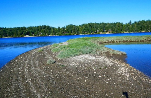 Waterfront Gem on Pickering Passage