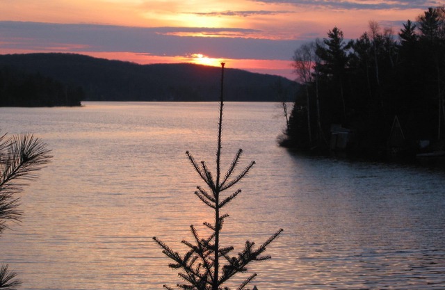 Waterfront! Sleeps six, minutes from Huntsville, sandy beach, rustic charm!
