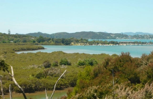 Baywaterviews 