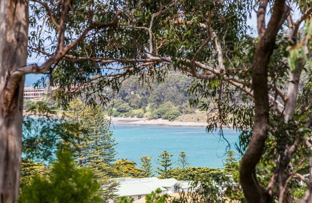Waverley Retreat - Pet friendly accommodation
