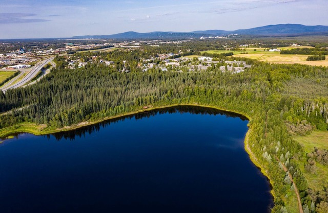 Wedgewood Resort