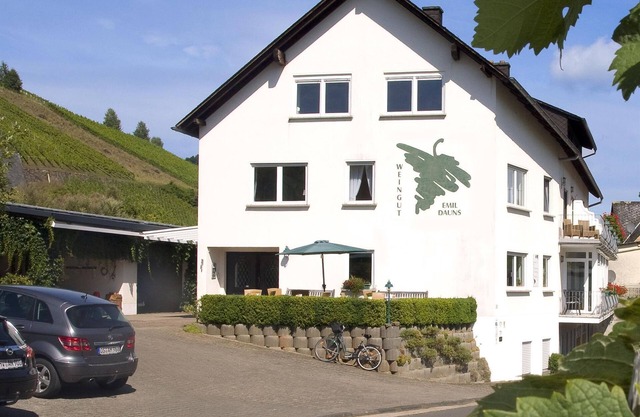 Weingut-brennerei-gästehaus Emil Dauns - Doppelzimmer Dusche/wc