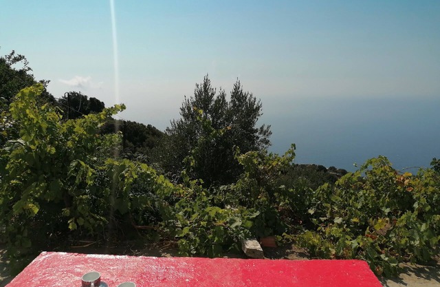 Welcome to Granny's House at Kouniadoi village in the island of Ikaria Greece!