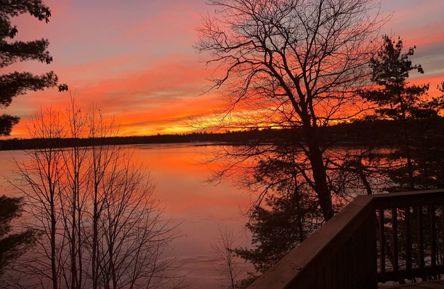 Welcome to Lakeside Haven on Webb Lake, surrounded by towering pines!