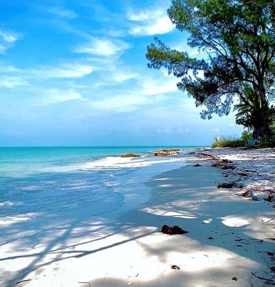 Welcome To The Paradise