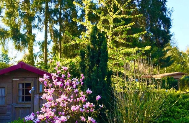Welcoming Chalet in Garderen With Garden