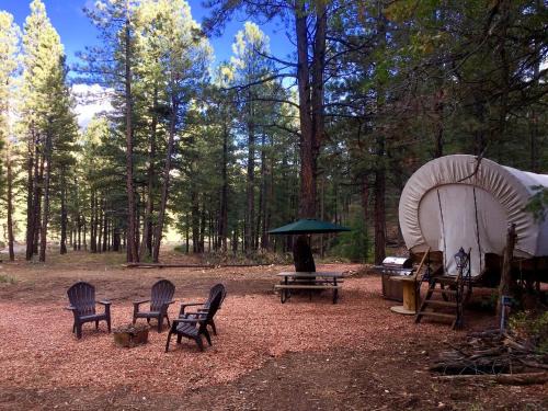 Well-Equipped Conestoga Wagon Rental for a Family Vacation in Alton, Utah