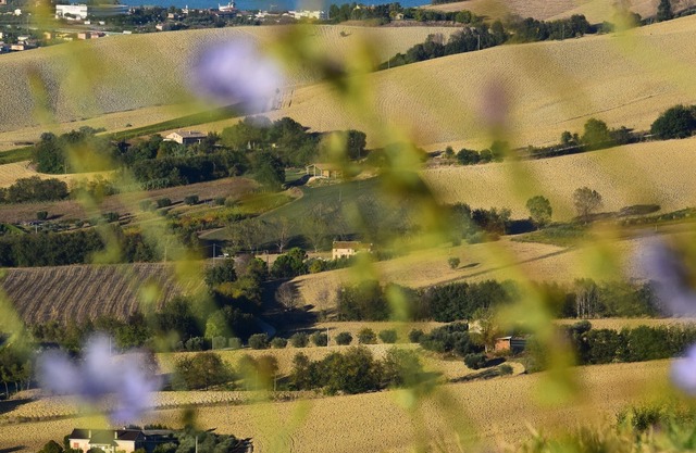Wellness and relaxation in the Marche region at Tenuta Coste da Sole