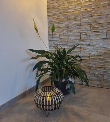 Wellness Ferienhaus