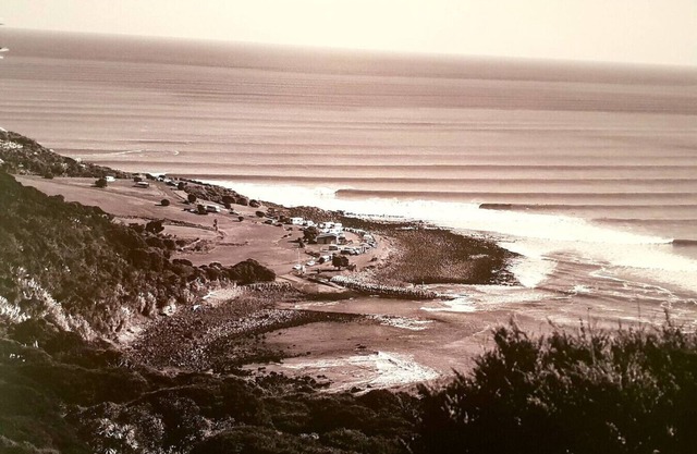 WHALE BAY'S SURF MECA
