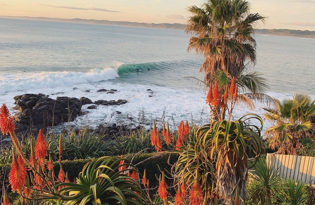 Whale Bay Surf Bach + Spa - Absolute Waterfront