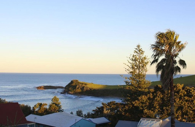 Whale Watch Gerringong