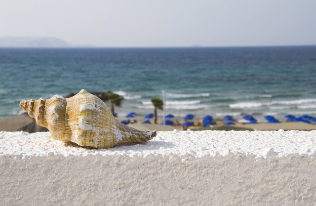 White House ILIANA | by The Sea