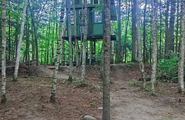White Mountain riverside Treehouse
