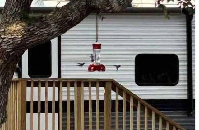 “Whooperazzi” The Sunrise Bay View Camper