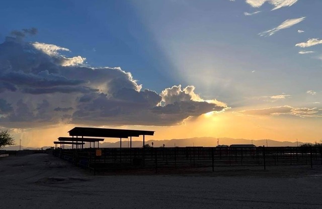Wickenburg Arizona Equine Facility