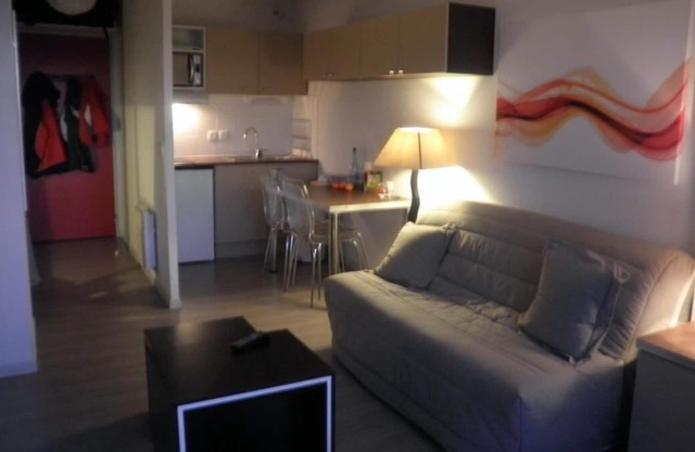 Wifi, ski-in/ski-out & foot of the slopes, terrace, parking, tv, ski locker, 23m², Chabanon-Selonnet