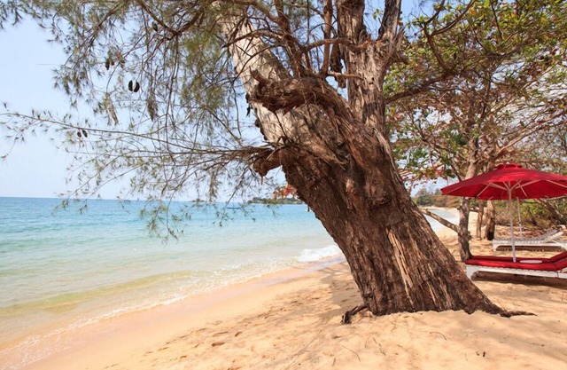 Wild Beach Phu Quoc Resort