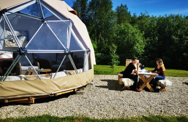 Wild Caribou Dome
