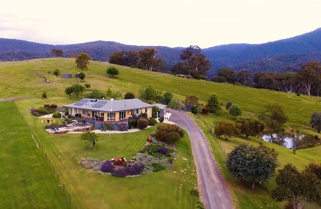 WILD DOG RISE - sleeps 16 -base MT BULLER Perfect ski Getaway - local discounts