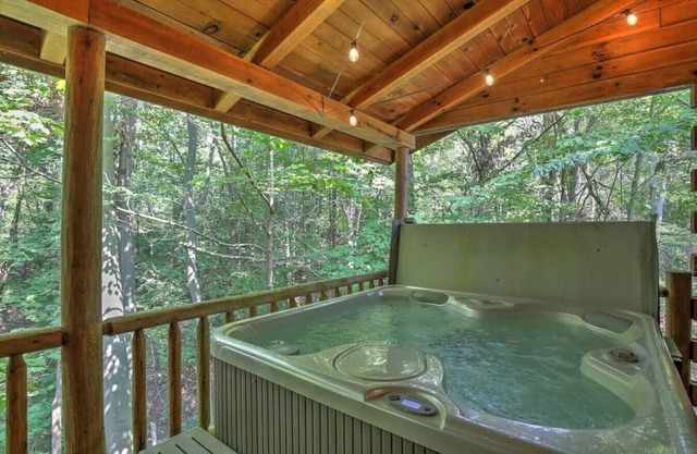 Wild Rose - Secluded Cabin Getaway with Hot Tub, Kitchen, and Fireplace