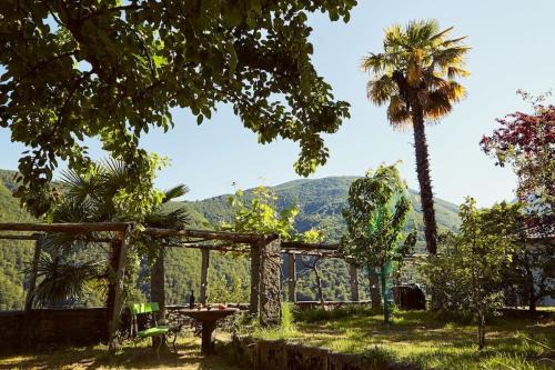 Wild Valley Village Life Apartment in Onsernone