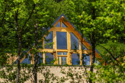 Wild Wood Transilvania