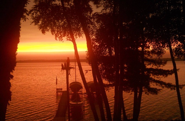 WILDWOOD LODGE is nestled in the trees on FishHook Lake 2 miles from Park Rapids