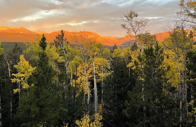Windsong Lodge Colorado Mtn Views/Hot Tub/Close to Skiing/Hiking/Biking/5 acres