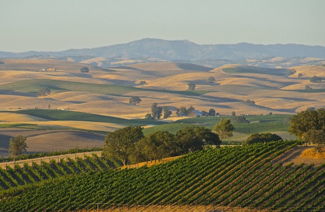 Wine Country Villa - 9 bedroom, 4 bath, Sleeps 25+
