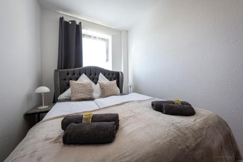 Winedesign 6 Per WLAN Boxspring Erfurt