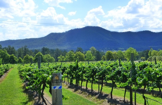 Winmark Wines | Winmark Residence