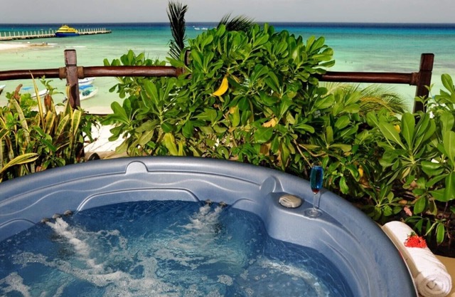 Winner of Top 25 in Luxury in All Mexico -Oceanfront -Direct View-Beach Club 9