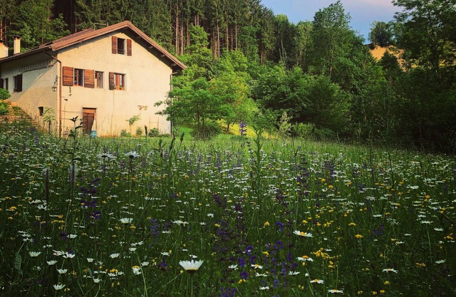 With sauna and hot tub in the woods, river side. Next to Dolomiti National Park