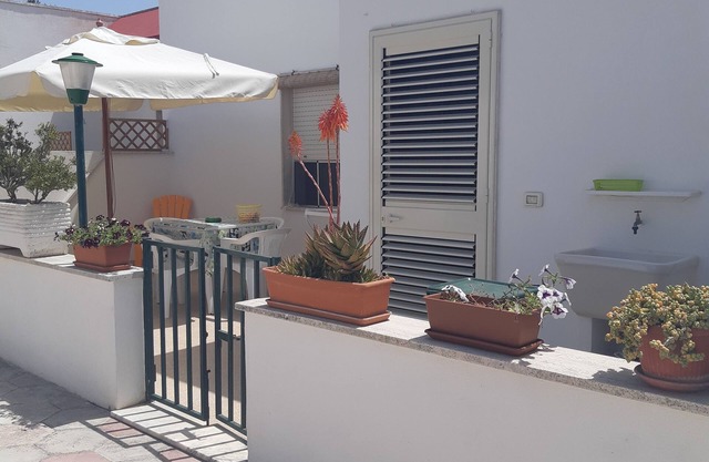 WITHIN WALKING DISTANCE OF THE SEA LADY 102