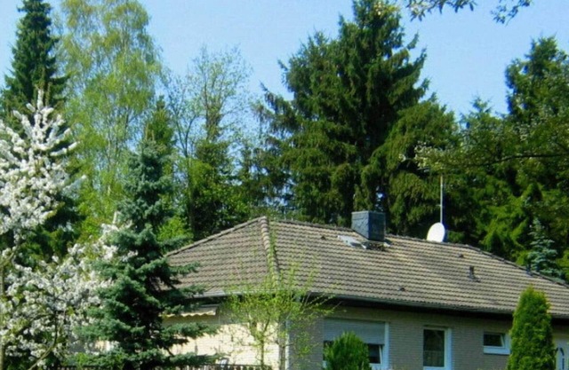 Wohnung am Diemelsee bei WillingenWinterberg