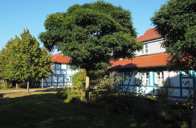 Wohnung in Dranske mit Garten