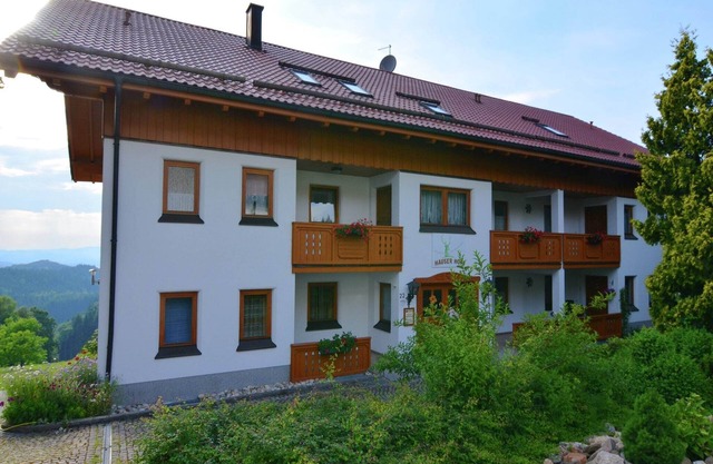 Wohnung in Waldkirchen mit Alpenblick