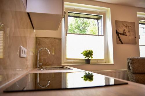Wohnung mit Wohlfühlcharakter