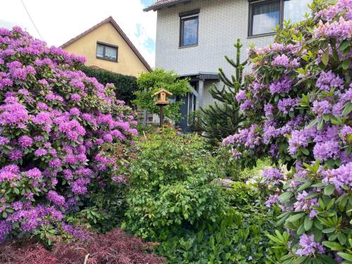 Wohnung nahe Inselsberg Wanderwege