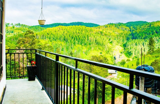 Wonder Mount Resort